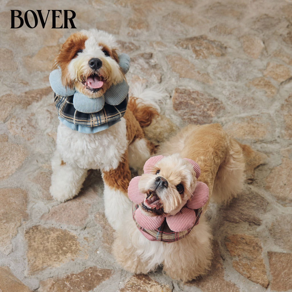 BOVER Double Bow Dog Snood sun flower