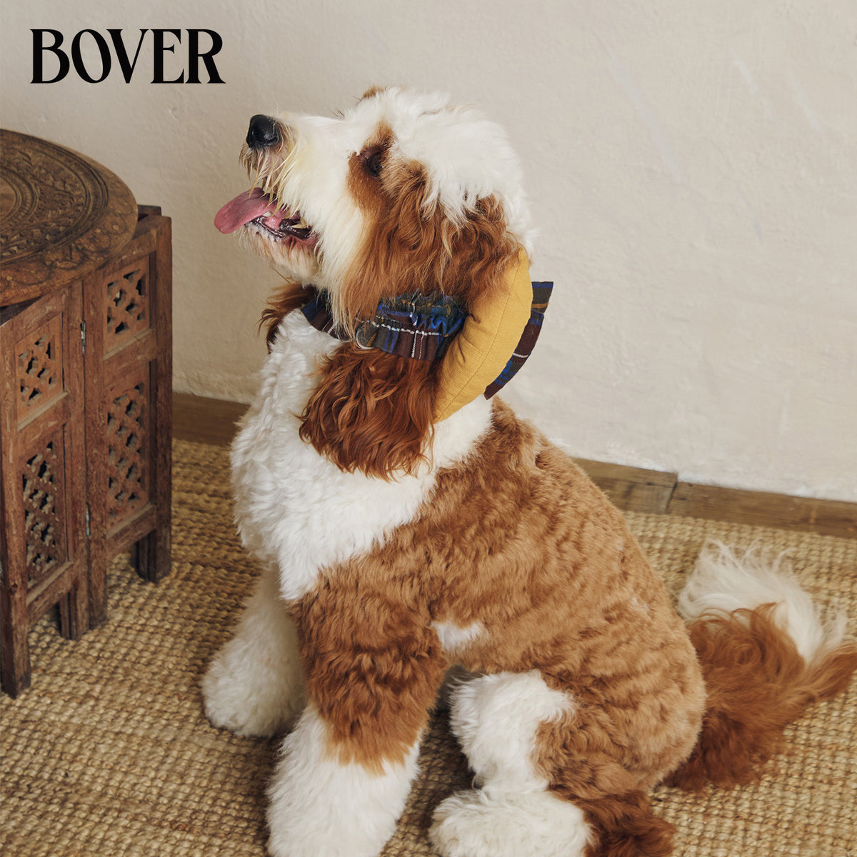 BOVER Double Bow Dog Snood