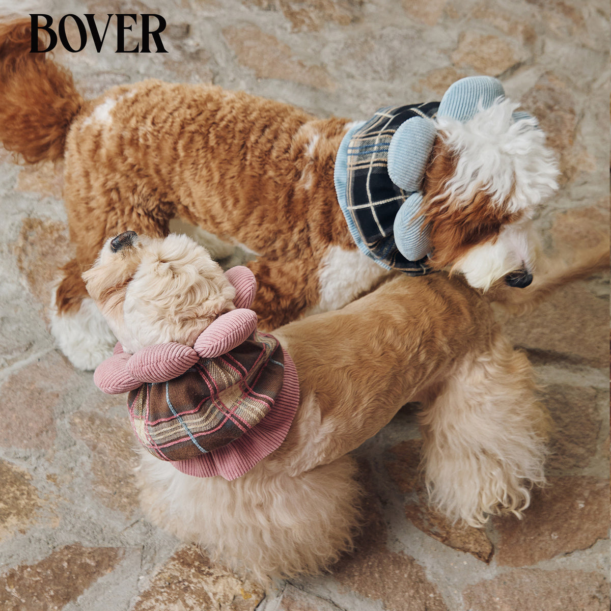 BOVER Double Bow Dog Snood sun flower