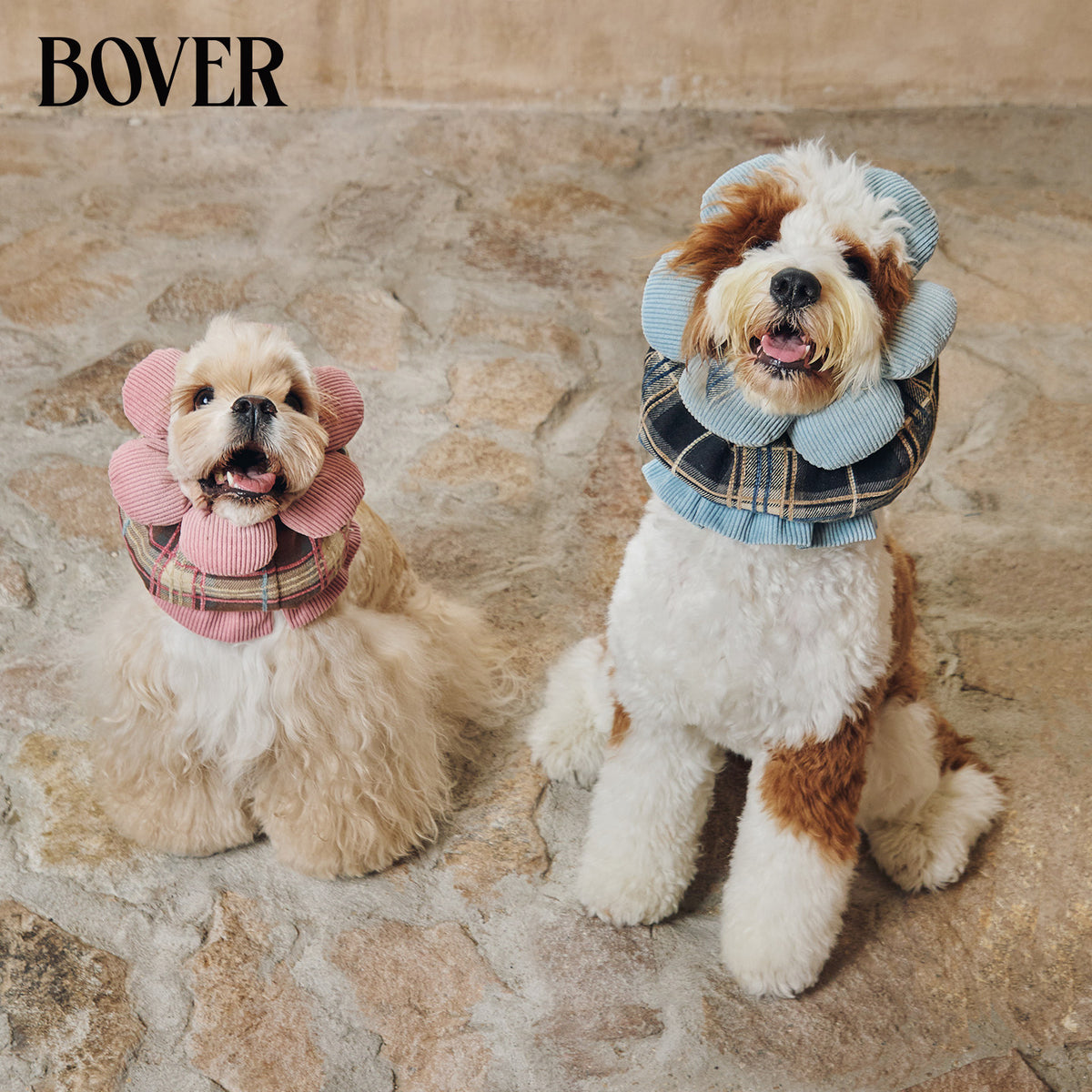 BOVER Double Bow Dog Snood sun flower