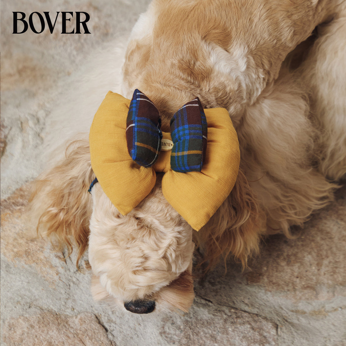 BOVER Double Bow Dog Snood