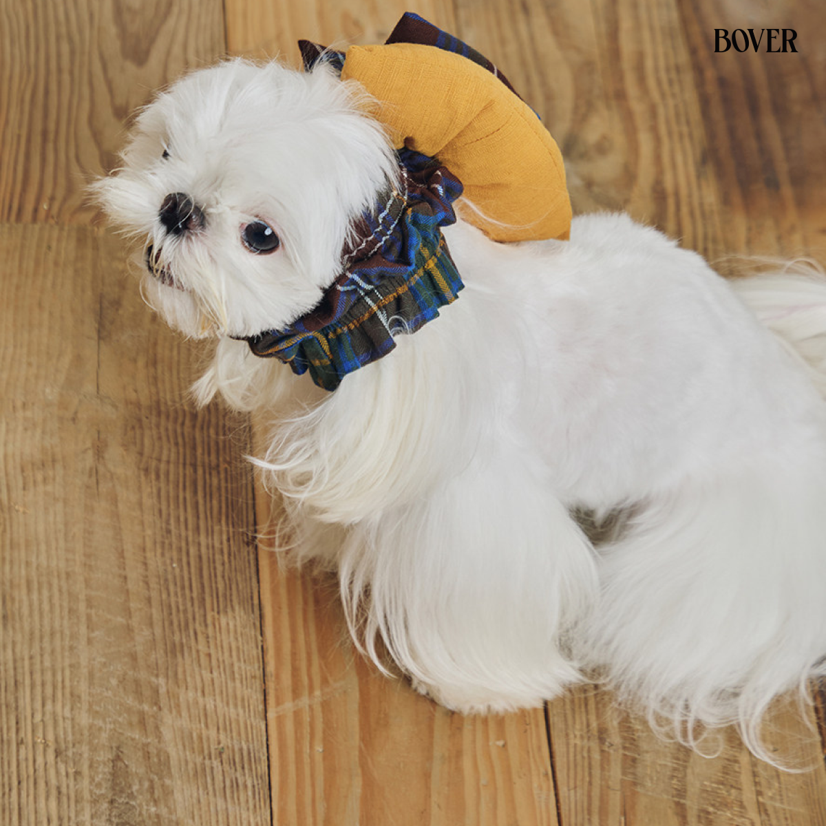 BOVER Double Bow Dog Snood