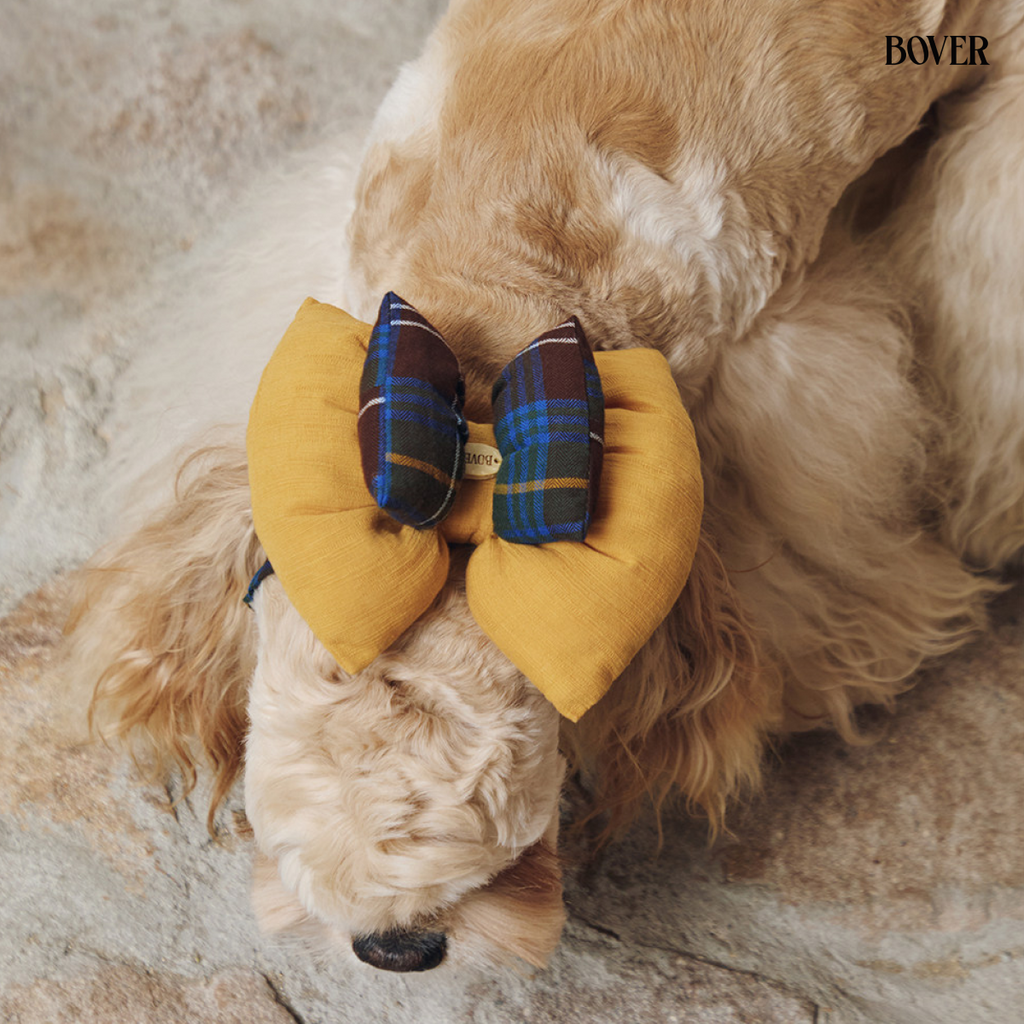 BOVER Double Bow Dog Snood