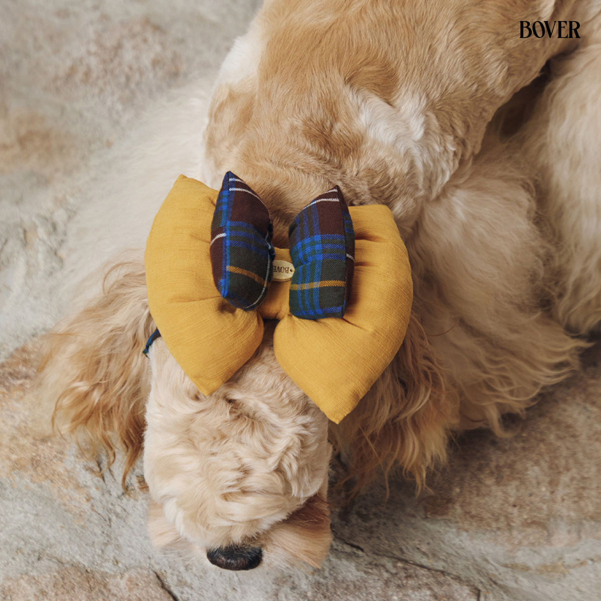 BOVER Double Bow Dog Snood