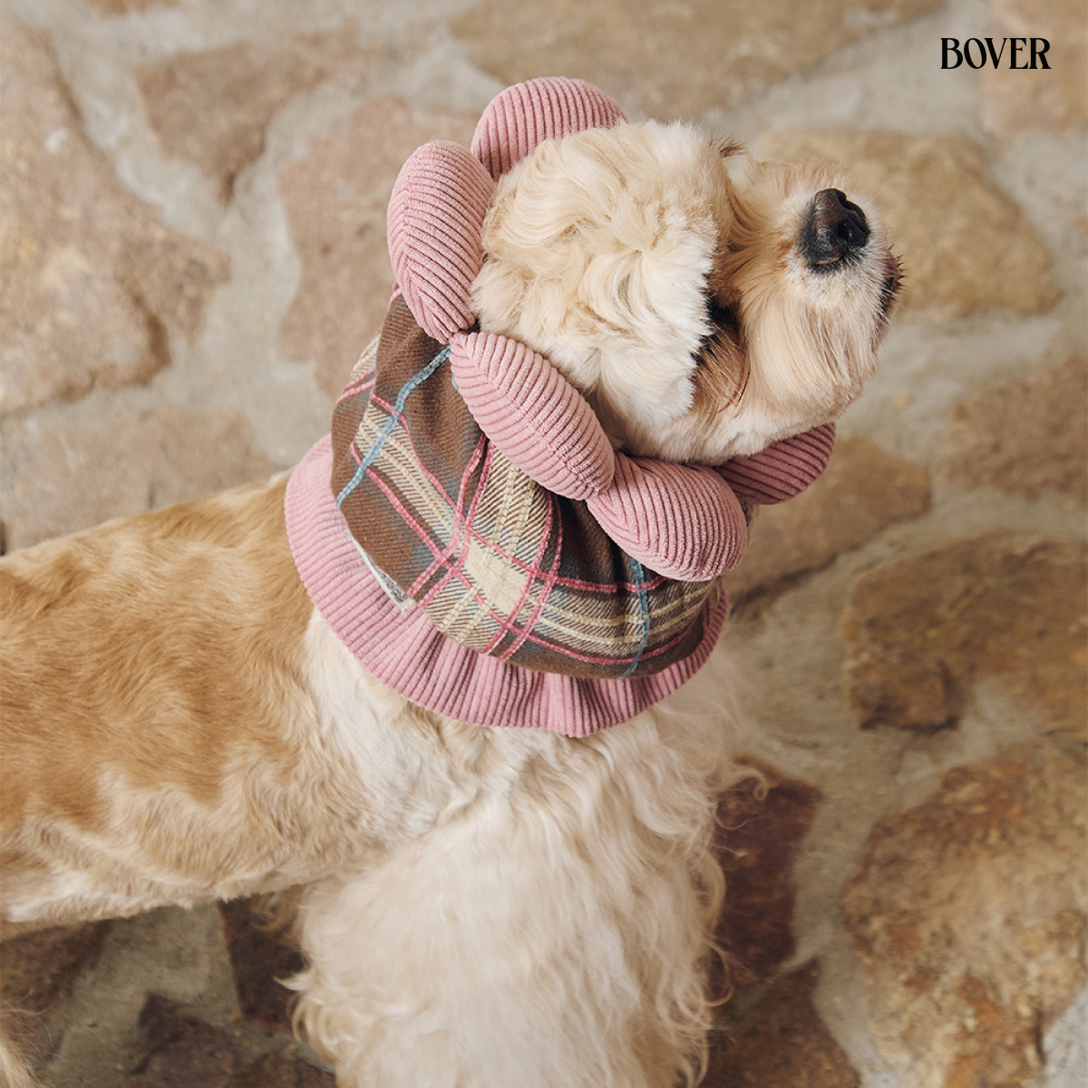 BOVER Double Bow Dog Snood sun flower